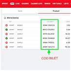public bet verificare